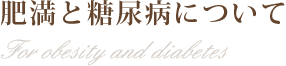 肥満と糖尿病について